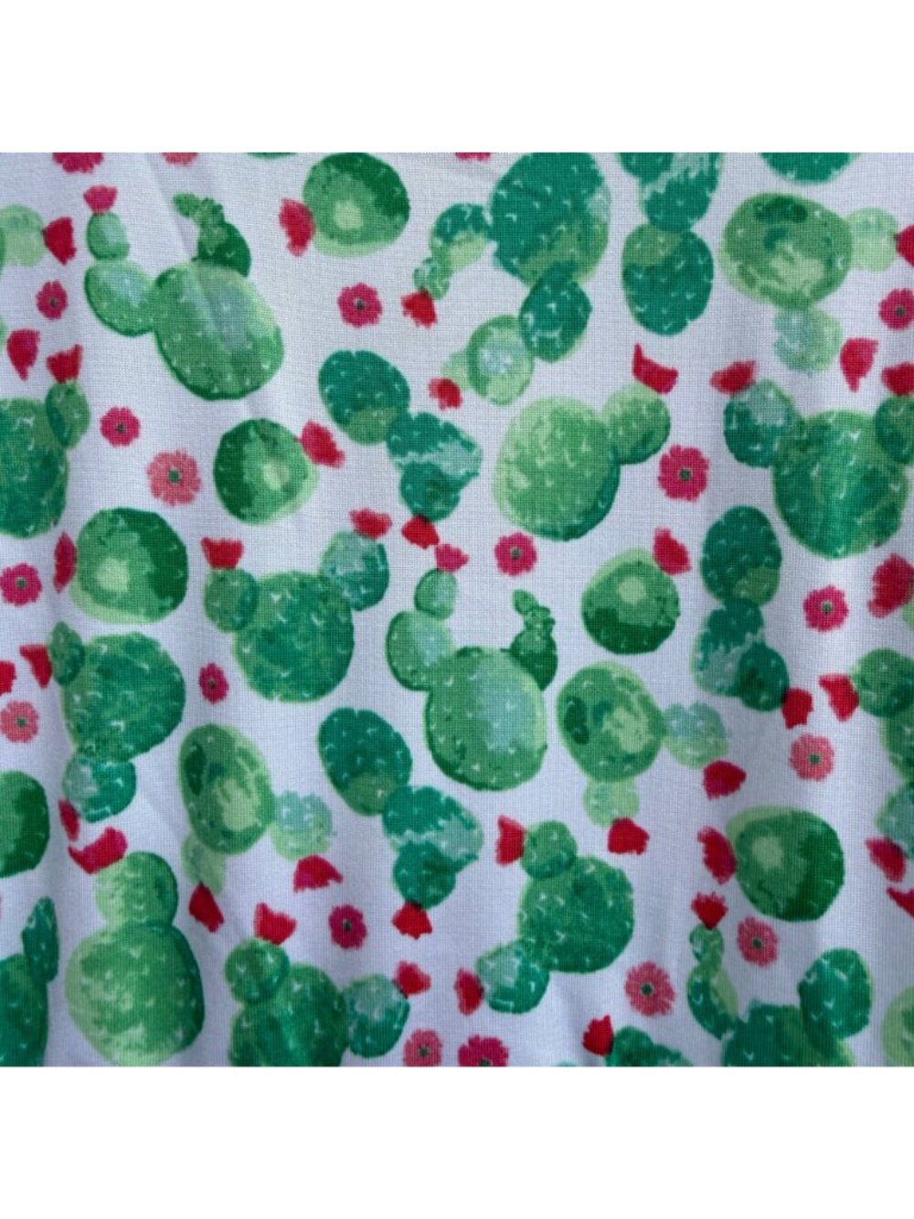 Dotdotsmile Dress Size 3/4 Green & Red Cactus New with Tags - Picture 3 of 5